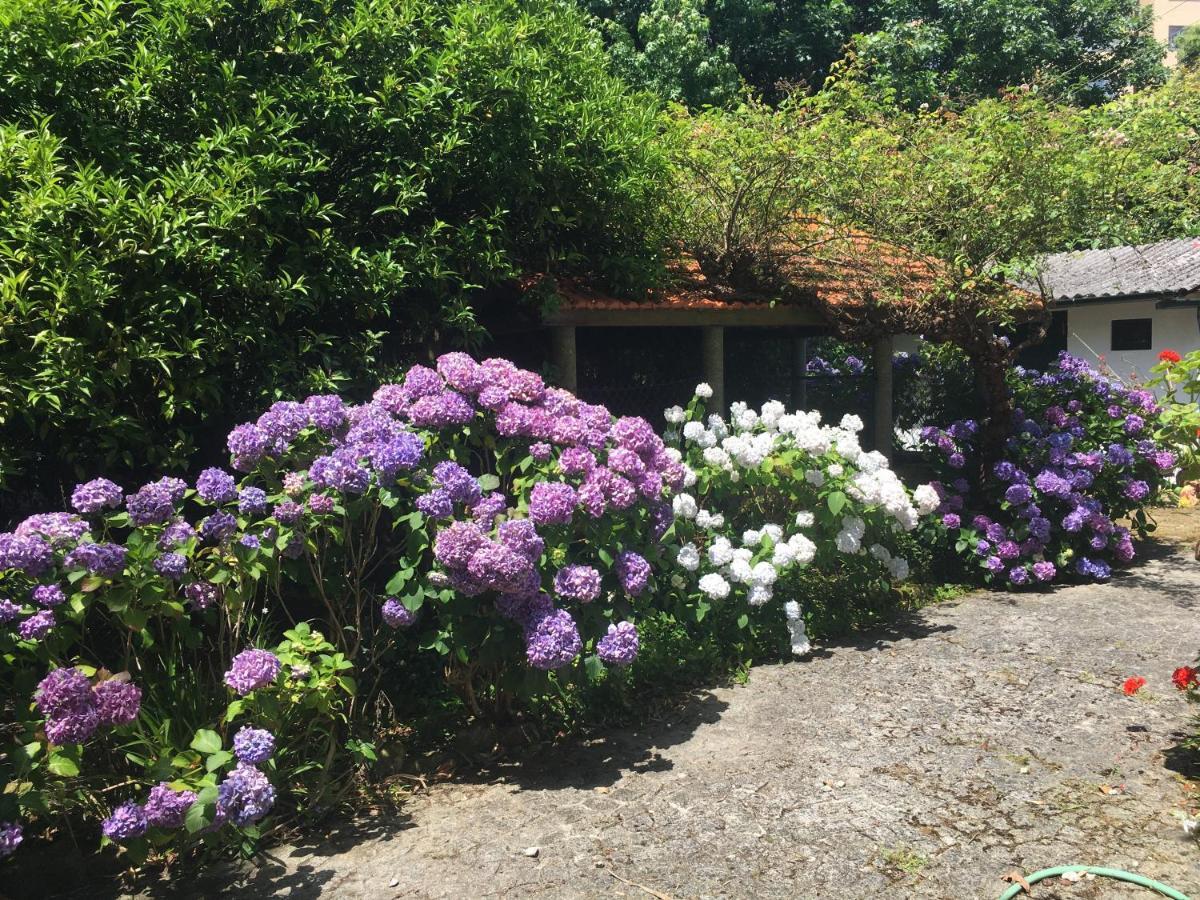 The Oaks House Foz Hotell OOporto Exteriör bild